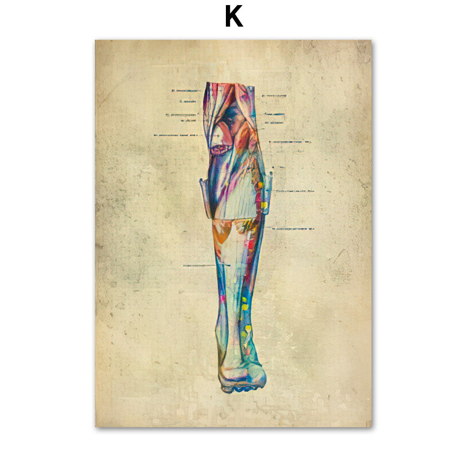 Human Muscular System Nordic Retro Anatomy Poster Medical Wall Canvas Painting - Metatron Store