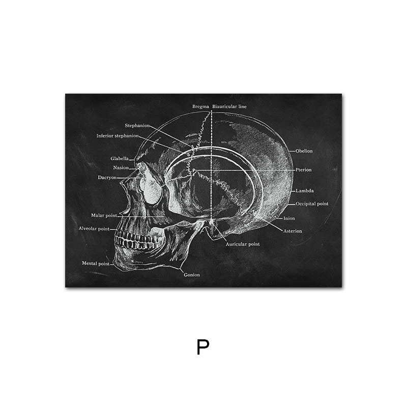 Canvas Painting Of Human Anatomy Skeleton Organ System - Metatron Store