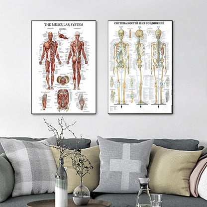 Modern Human Anatomy Musculoskeletal Medical Education Canvas Painting - Metatron Store