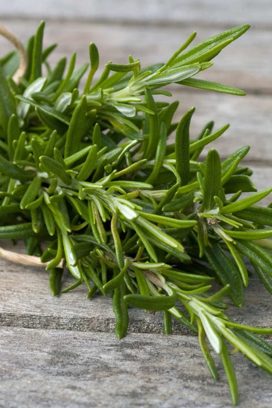 Angel’s Mist Rosemary Essential Oil - Metatron Store