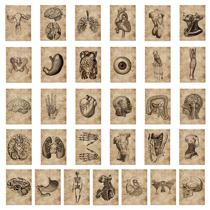 56 Anatomy Human Skeleton Sticker Notebook - Metatron Store