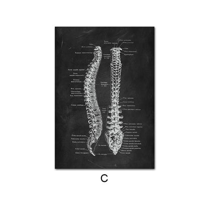 Canvas Painting Of Human Anatomy Skeleton Organ System - Metatron Store