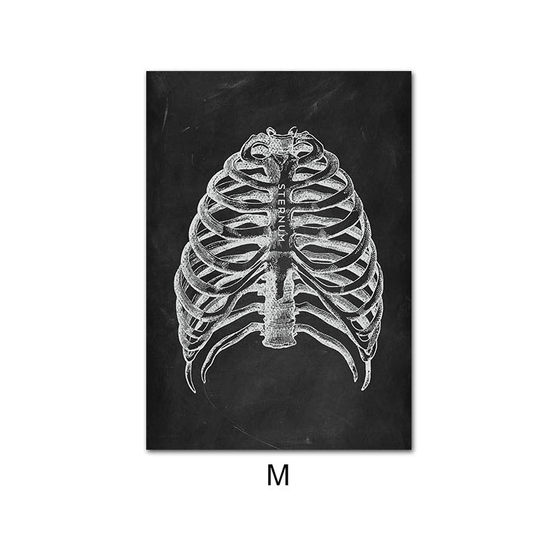 Canvas Painting Of Human Anatomy Skeleton Organ System - Metatron Store