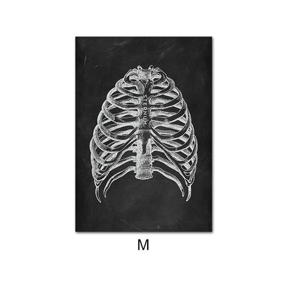 Canvas Painting Of Human Anatomy Skeleton Organ System - Metatron Store