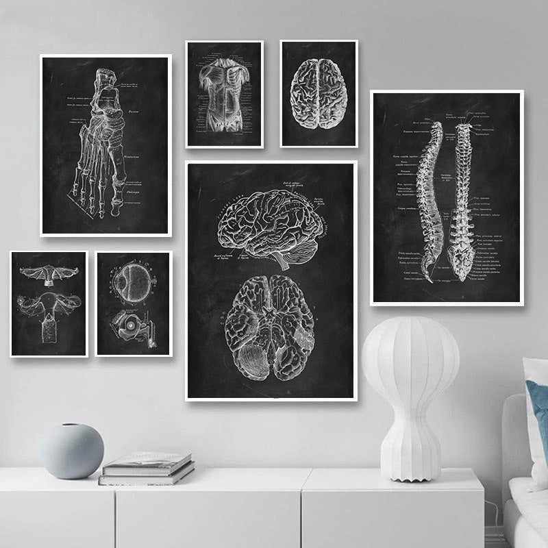 Canvas Painting Of Human Anatomy Skeleton Organ System - Metatron Store