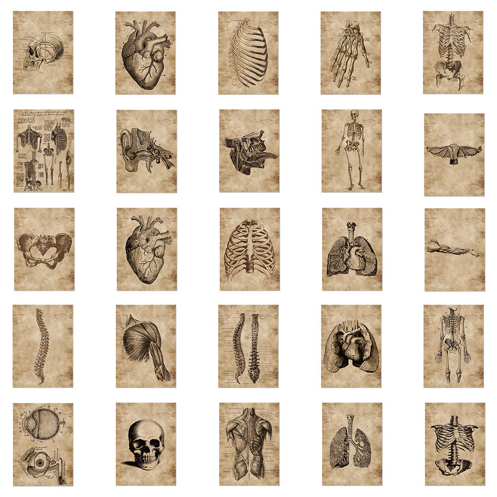 56 Anatomy Human Skeleton Sticker Notebook - Metatron Store