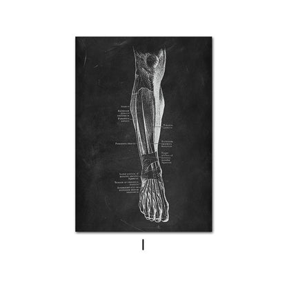 Canvas Painting Of Human Anatomy Skeleton Organ System - Metatron Store