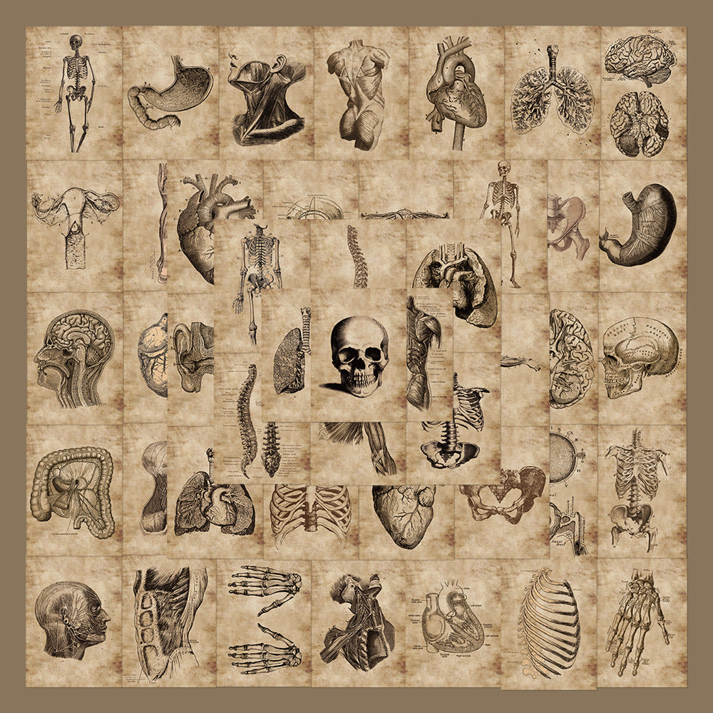 56 Anatomy Human Skeleton Sticker Notebook - Metatron Store