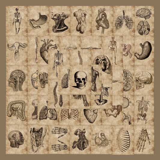 56 Anatomy Human Skeleton Sticker Notebook - Metatron Store