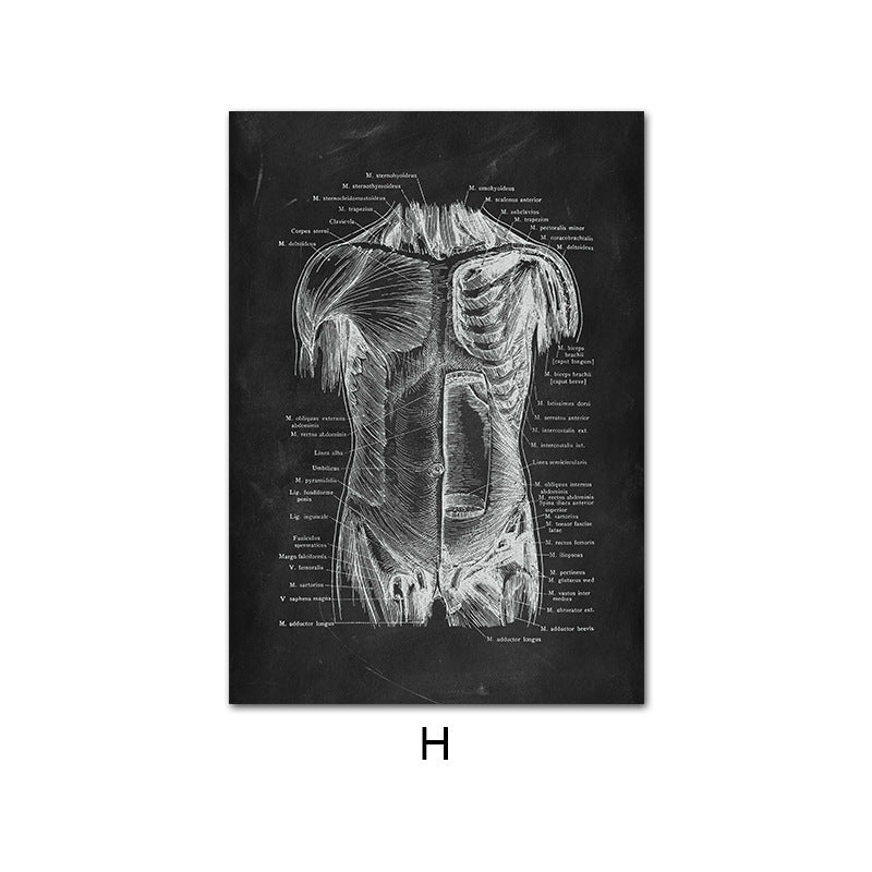 Canvas Painting Of Human Anatomy Skeleton Organ System - Metatron Store