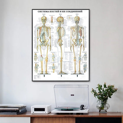 Modern Human Anatomy Musculoskeletal Medical Education Canvas Painting - Metatron Store