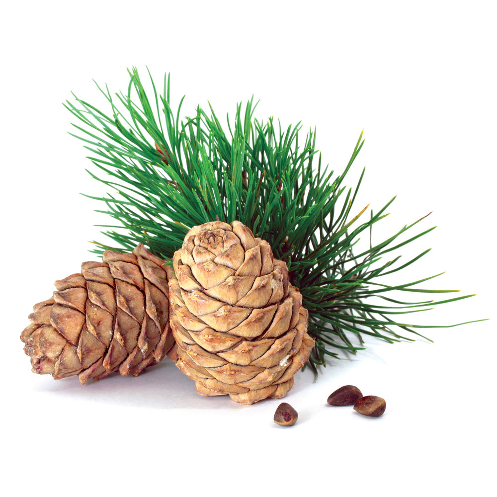 Angel’s Mist Cedarwood Essential Oil - Metatron Store