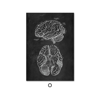 Canvas Painting Of Human Anatomy Skeleton Organ System - Metatron Store