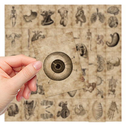 56 Anatomy Human Skeleton Sticker Notebook - Metatron Store