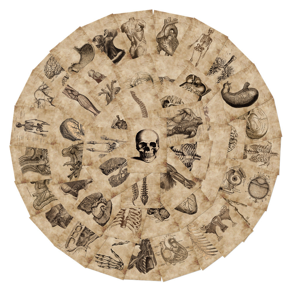 56 Anatomy Human Skeleton Sticker Notebook - Metatron Store