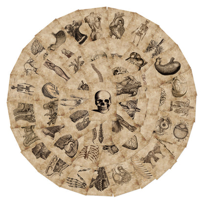 56 Anatomy Human Skeleton Sticker Notebook - Metatron Store