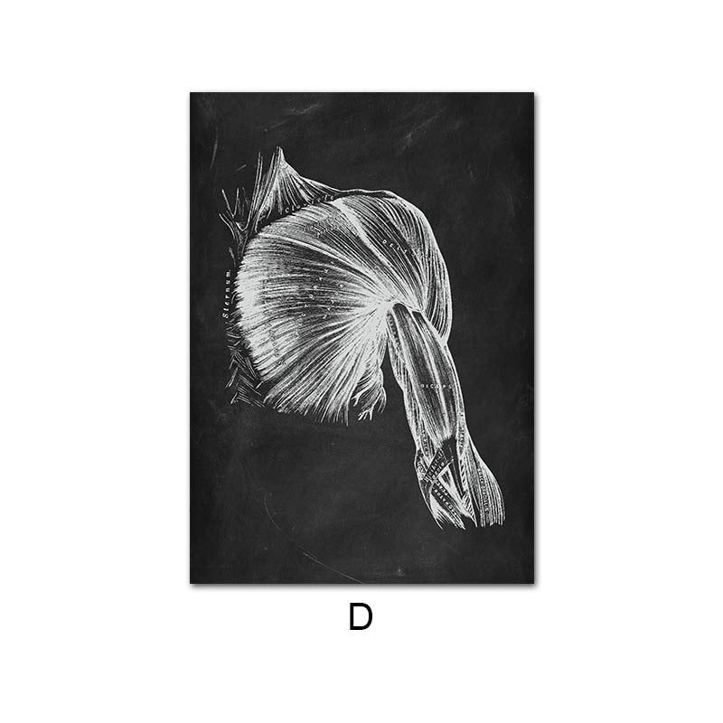 Canvas Painting Of Human Anatomy Skeleton Organ System - Metatron Store