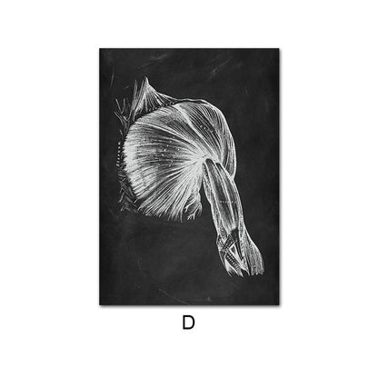 Canvas Painting Of Human Anatomy Skeleton Organ System - Metatron Store