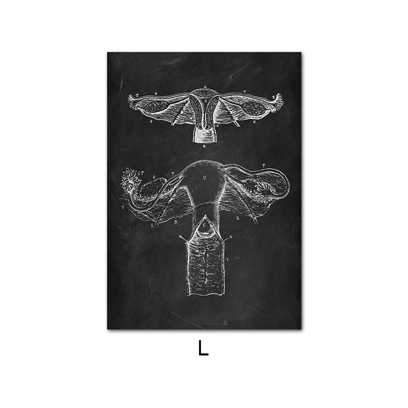 Canvas Painting Of Human Anatomy Skeleton Organ System - Metatron Store