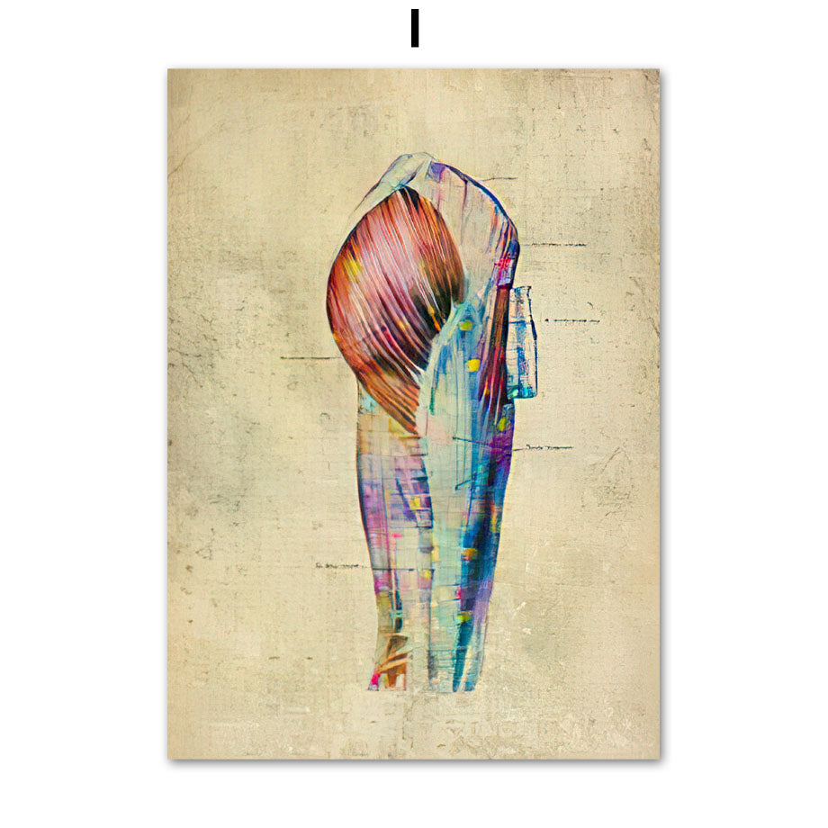 Human Muscular System Nordic Retro Anatomy Poster Medical Wall Canvas Painting - Metatron Store