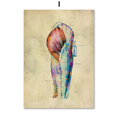 Human Muscular System Nordic Retro Anatomy Poster Medical Wall Canvas Painting - Metatron Store