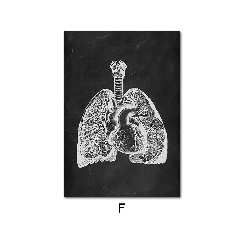 Canvas Painting Of Human Anatomy Skeleton Organ System - Metatron Store