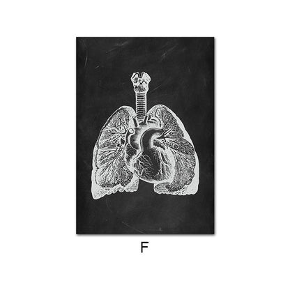 Canvas Painting Of Human Anatomy Skeleton Organ System - Metatron Store