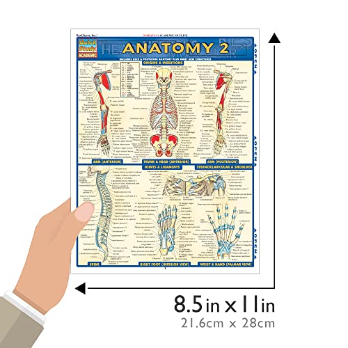 Anatomy 2 (Quick Study Academic) - Metatron Store