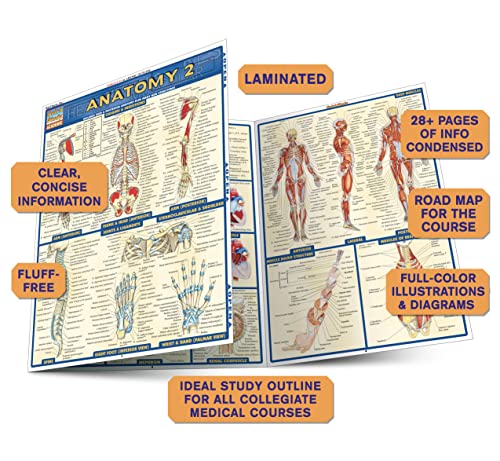 Anatomy 2 (Quick Study Academic) - Metatron Store