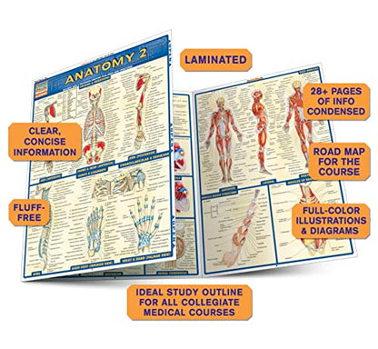 Anatomy 2 (Quick Study Academic) - Metatron Store