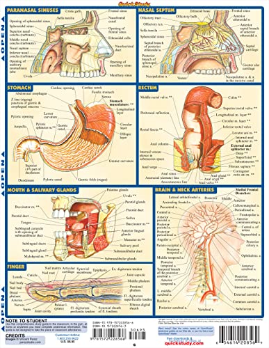 Anatomy 2 (Quick Study Academic) - Metatron Store