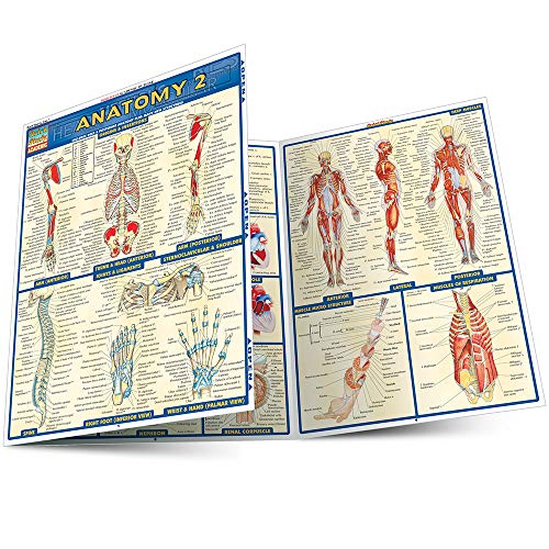 Anatomy 2 (Quick Study Academic) - Metatron Store